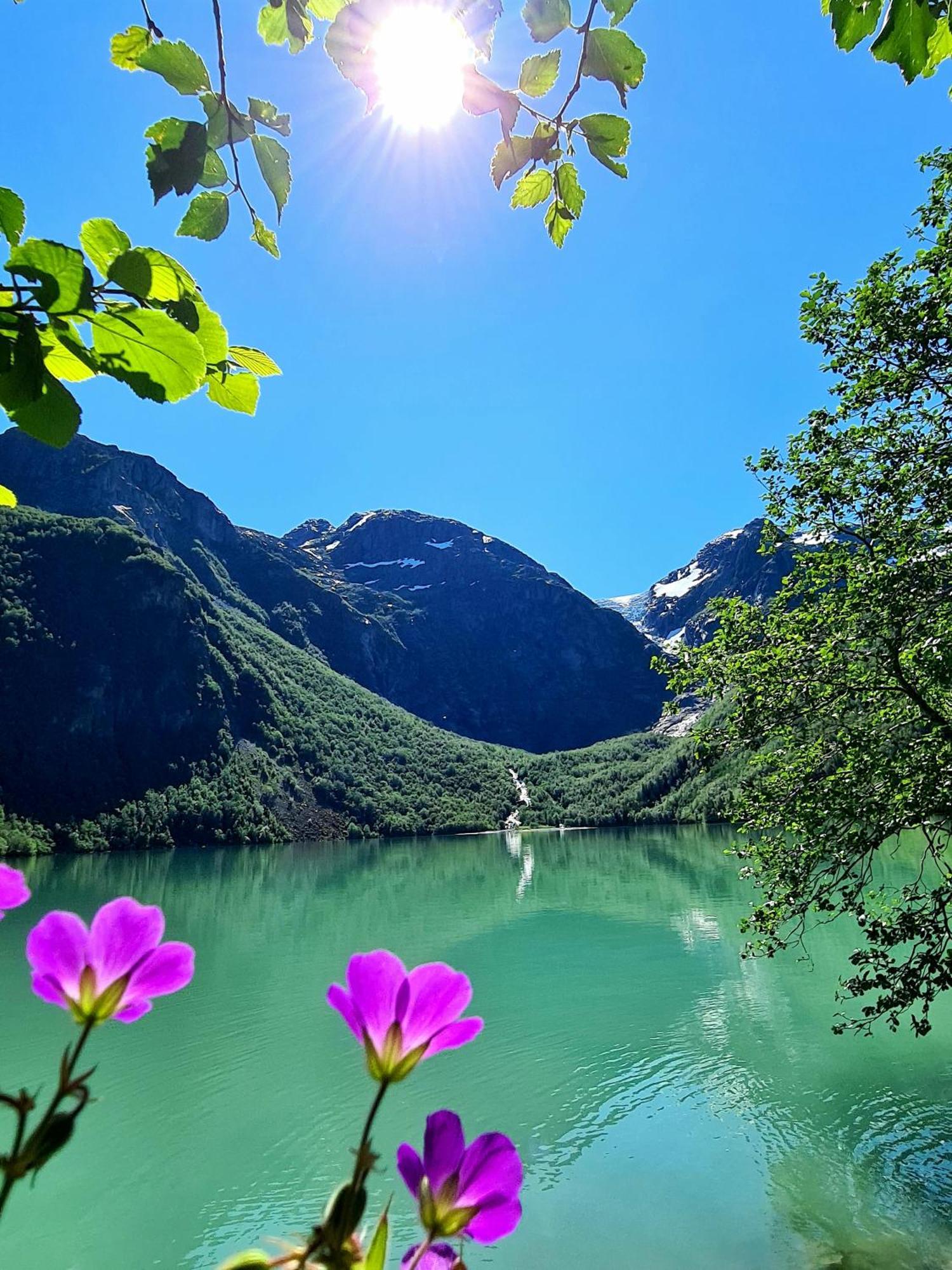 Rosendal Fjordhotel מראה חיצוני תמונה